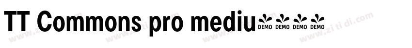 TT Commons pro mediu字体转换
